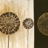 Canvas Art Print Lollies II Abstract subject by Alexander John White Fine Art Print quality 