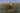 Canvas Art Print The Veteran in a New Field World Culture subject by Klimt Gustav Fine Art Print quality 