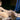Canvas Art Print The Grand Odalisque Museum subject by Klimt Gustav Fine Art Print quality 
