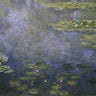 Canvas Art Print Water Lilies - Nympheas IV Coastal subject by Nowell Laurence Fine Art Print quality 
