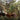 Canvas Art Print Exotic Landscape Museum subject by Schiele Egon Fine Art Print quality 