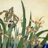 Canvas Art Print Irises Floral subject by Homer Winslow Fine Art Print quality 