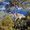 Canvas Art Print Bordighera Coastal subject by Philippol A. Fine Art Print quality 