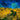 Canvas Art Print Crows Over Wheat Field Museum subject by Podt Martin Fine Art Print quality 
