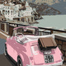 Canvas Art Print Pink Bug in Europe Landscape subject by Sterling Amber Fine Art Print quality 