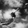 Canvas Art Print Yes You Can Photography subject by Tekdogan Barkan Fine Art Print quality 