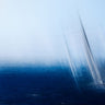 Canvas Art Print Freedom Coastal subject by C. Sink Jeffrey Fine Art Print quality 