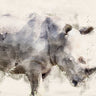 Canvas Art Print African Rhinoceros Watercolor Art Abstract subject by Kortan Merthan Fine Art Print quality 