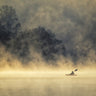 Canvas Art Print Kayaking In The Mist Photography subject by Dikhotomy Fine Art Print quality 