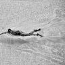 Canvas Art Print Breaking The Net swim Contemporary subject by Little Dean Fine Art Print quality 
