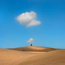 Canvas Art Print Tuscany Photography subject by Makoto Sasaki Fine Art Print quality 
