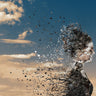 Canvas Art Print In The Wind Photography subject by Detollenaere Marnix Fine Art Print quality 