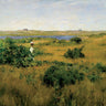 Canvas Art Print Summer at Shinnecock Hills 1891 Museum subject by Sisley Alfred Fine Art Print quality 